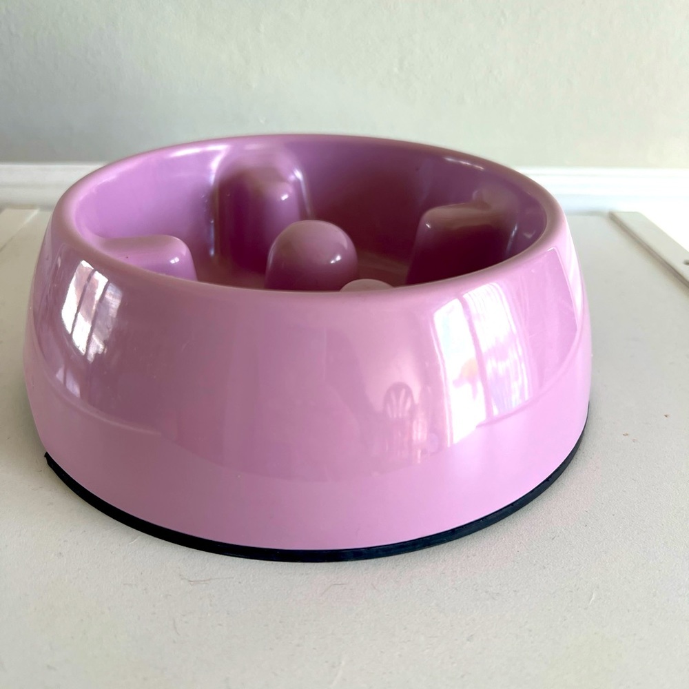 Slow Feed Pet Bowl